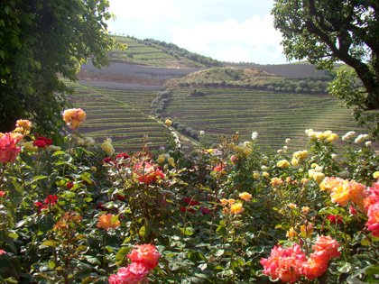 Quinta do Vallado